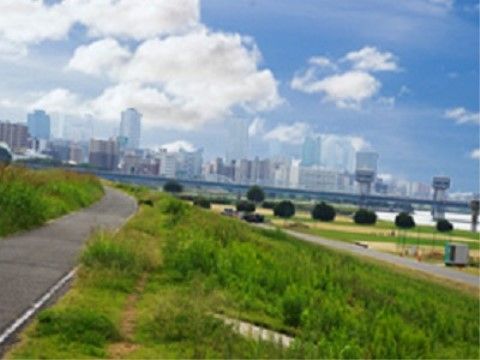 遠くにビル群が見える河川敷は、散歩コースに最適である。スポーツなどの練習をみながら、自然を感じることもできる。