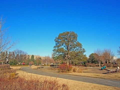 緑豊かな広々とした公園である。散歩やジョギングに最適な道が整備されている。複数のベンチが置かれている。