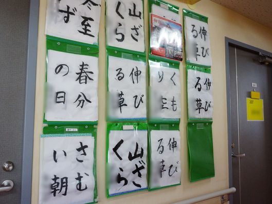 展示物