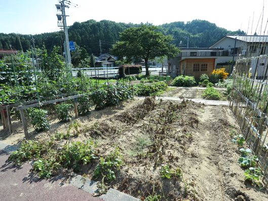 庭の中の畑
