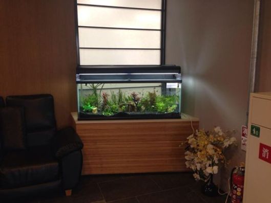 アクアテラリウム