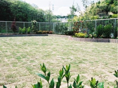 木が植えられている屋上