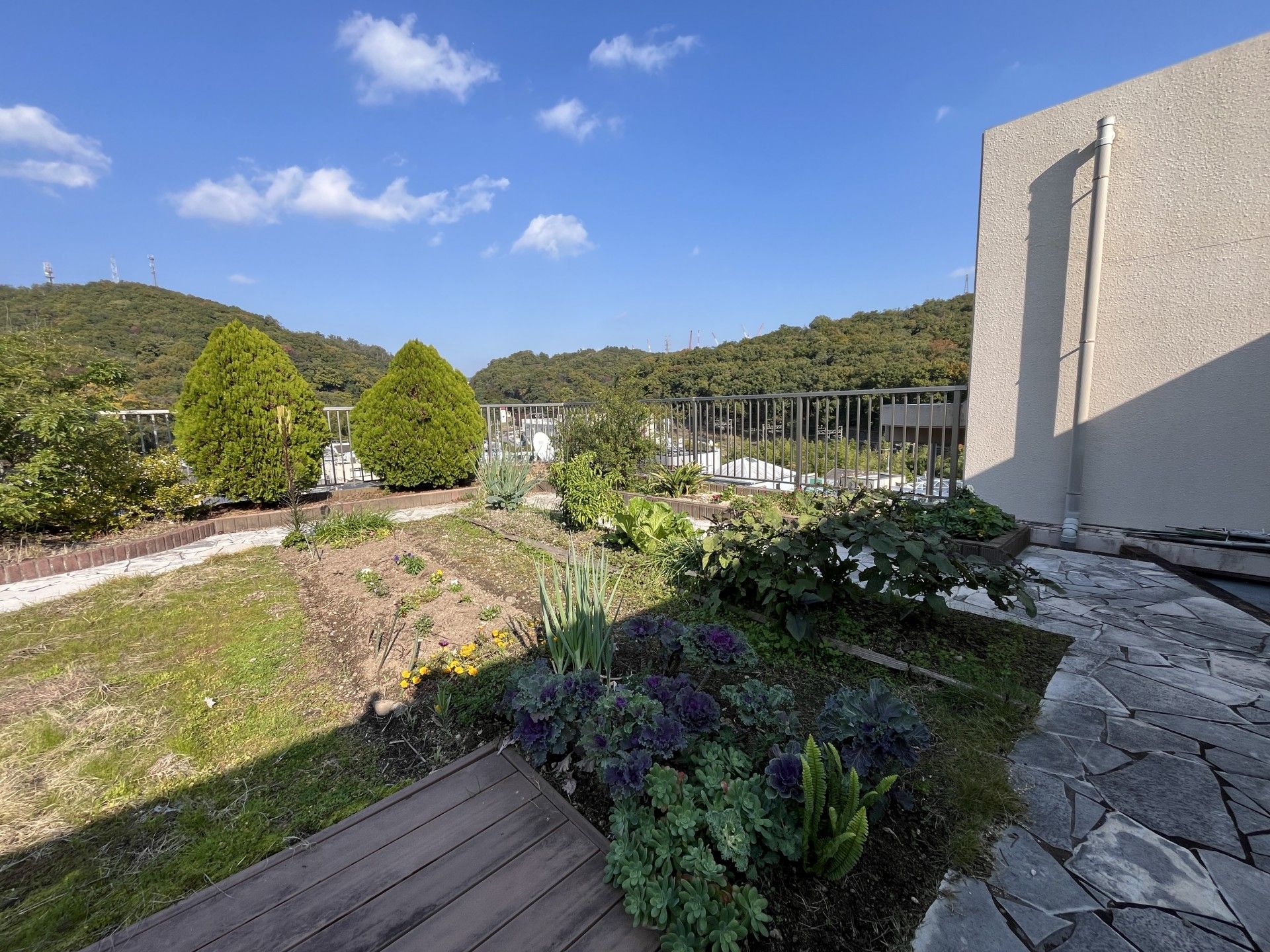緑豊かな庭園風景