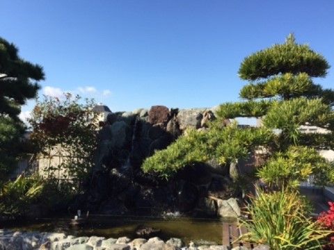 「ハリ・レジデンス池田」の屋上庭園。日本の和む庭園風景。