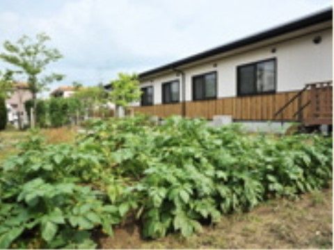 「ここから高宮」施設内にある畑。 ここでは、野菜を栽培して楽しんでいただけます。
