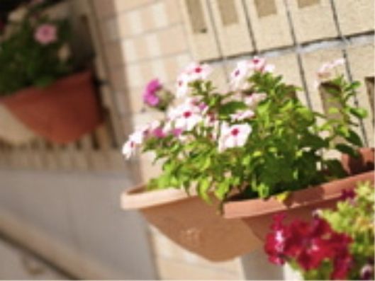 玄関前の花壇