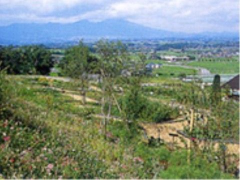 「ウェルハウスのぞみサンピア別館」の周辺2。緑の豊富な公園がある。