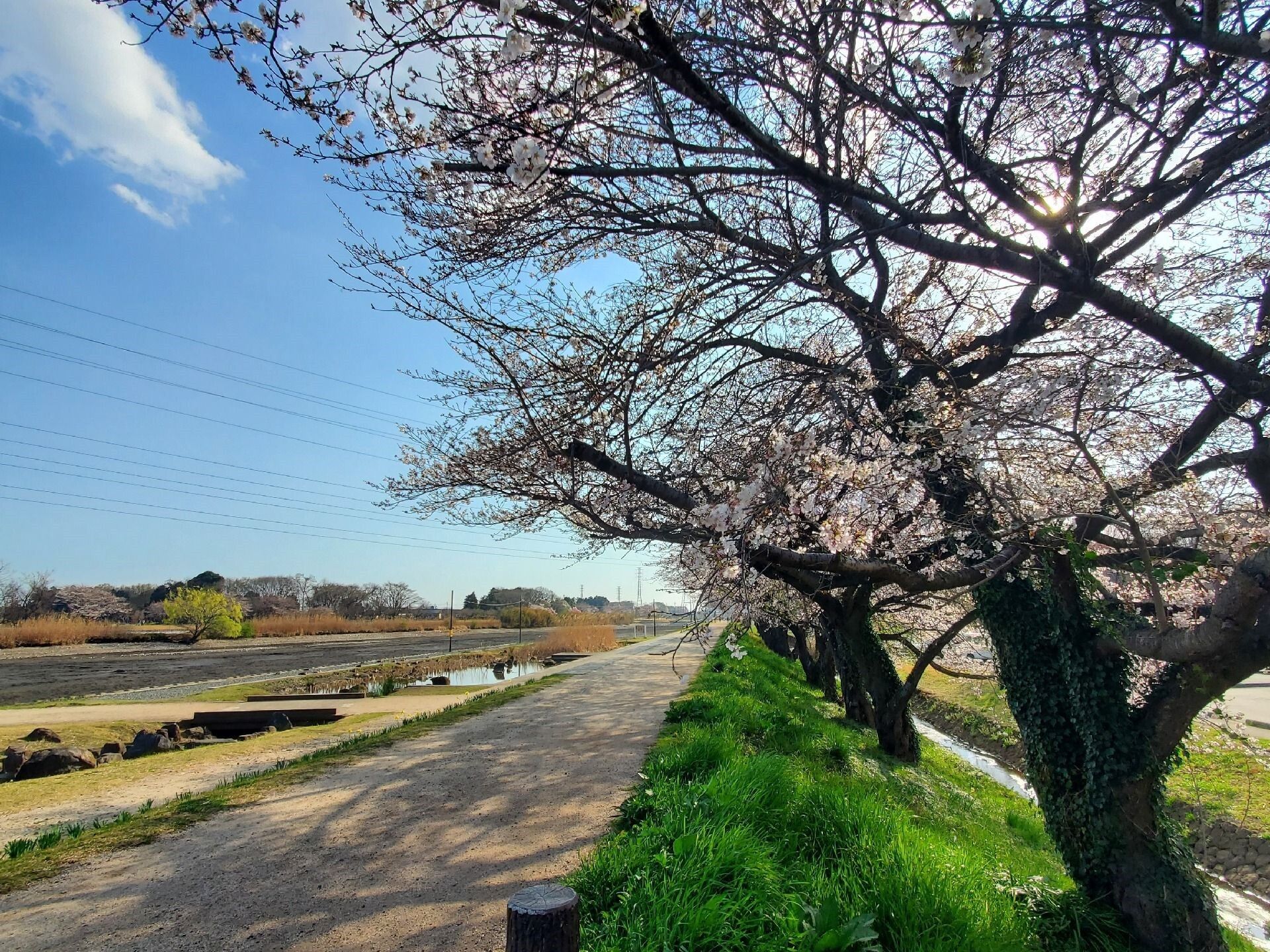近隣に自然に触れられる公園がある。