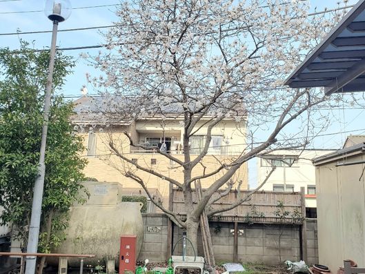 サンリビングたいようの自然1