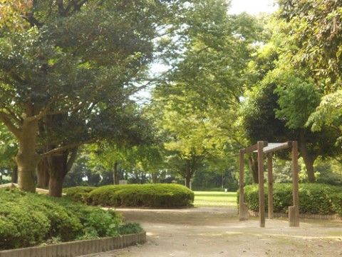 大木が生い茂る緑の多い公園が近くにある。公園の奥には運動ができる広場があるので健康づくりに適している。