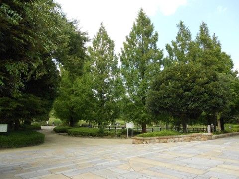 付近には大木の多い自然豊かな公園がある。公園周辺の道は石畳みで整備され、広くて綺麗なので、散歩しながらリフレッシュできる。