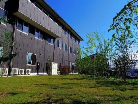 施設の建物の窓から見える緑豊かなガーデン。施設内にいながら、景色からも四季の変化を楽しんでいただくことができる。