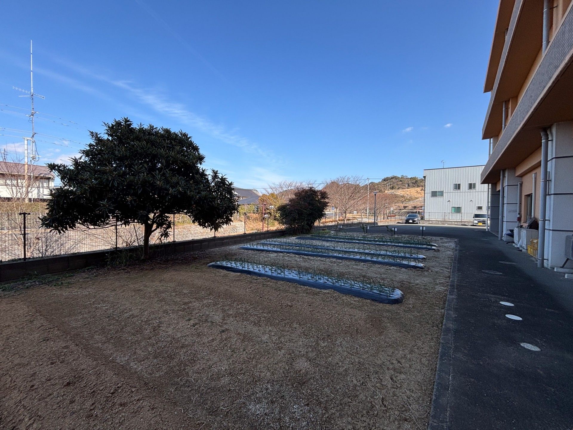 庭の畑と建物の外観