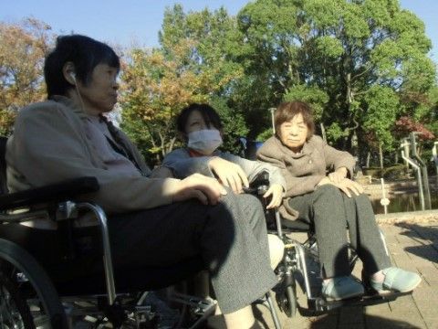 緑豊かな屋外で、交流を楽しむ、車いすに座った三人の女性