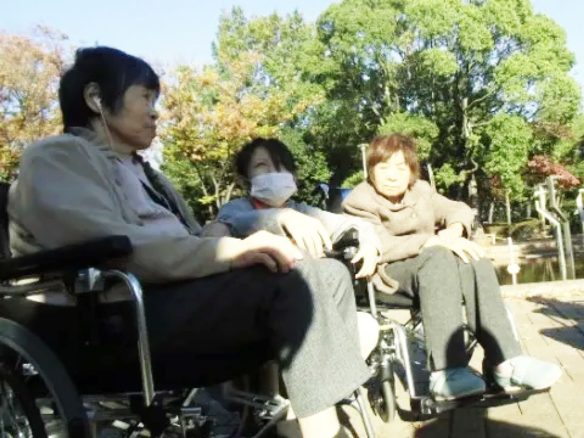 緑豊かな屋外で、交流を楽しむ、車いすに座った三人の女性