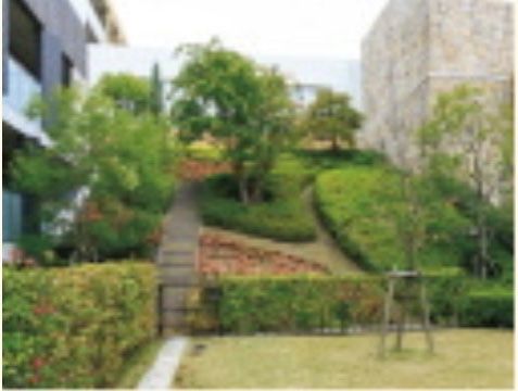 トラストグレイス御影（介護棟）のヒーリングガーデンン。沢山の入居者様と仲良くおしゃべりをお楽しみいただける憩いの場となっております。