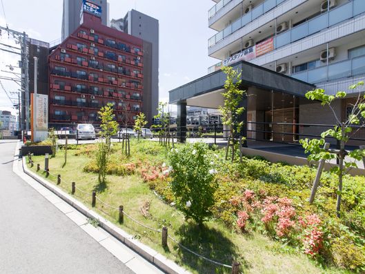 植物と外部の建物