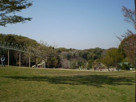 施設周辺は、自然豊かな好立地である。近くに原っぱがあり、天候のよい日には、スタッフが引率して出かけることがある。