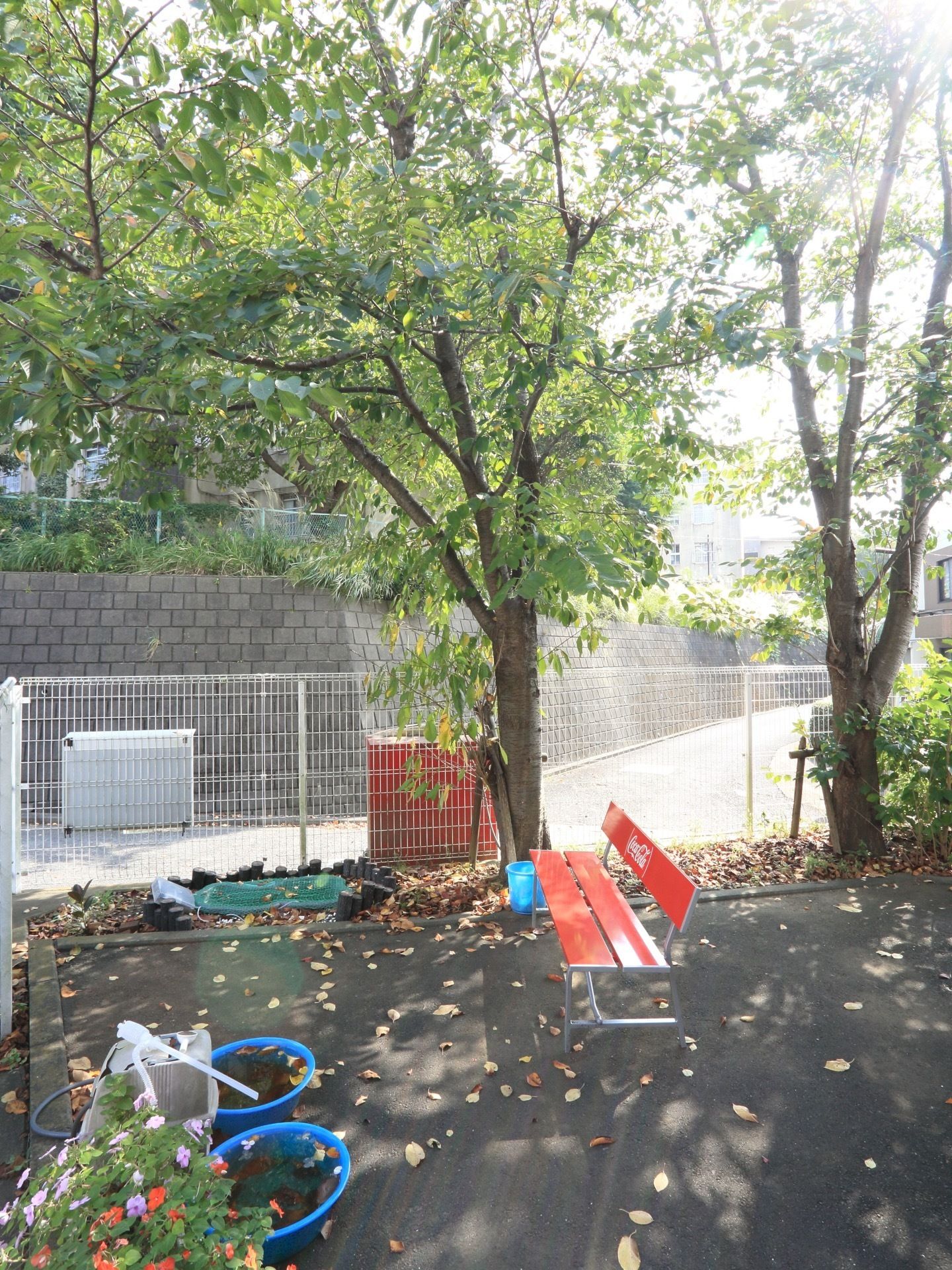 庭の横には、大きな樹木がそびえている。枯れ葉が舞っている。周りは金網の柵があり、中には赤いベンチが置かれている。