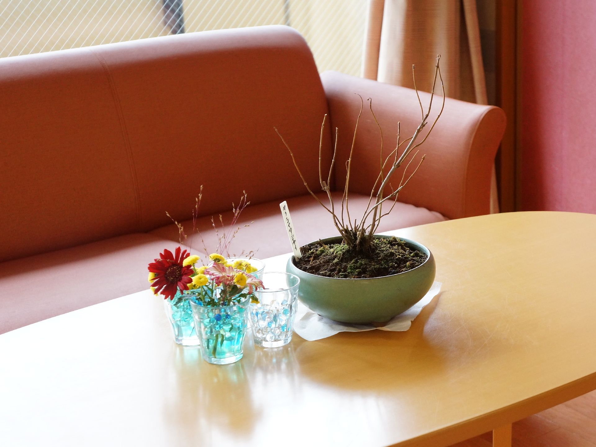 談話スペースに置かれている木製のローテーブルの上に植物の鉢が飾られている。花を挿したグラスが3つ置かれている。