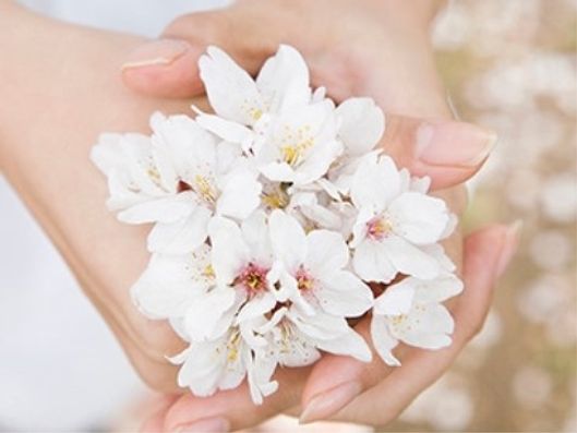 レクリエーション