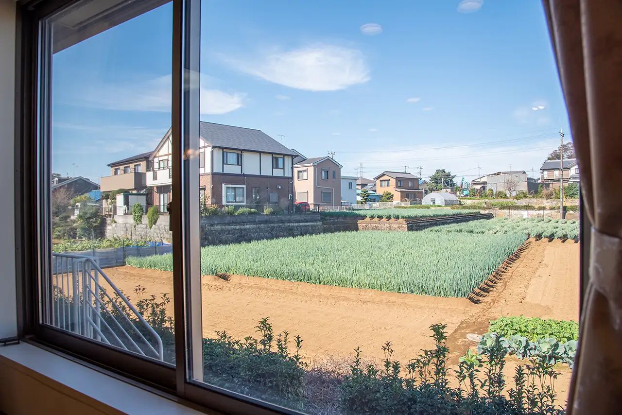 窓からのどかな風景
