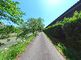 緑豊かな散策路