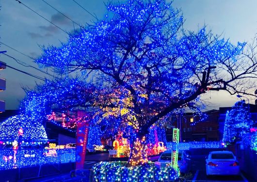 近隣の光の競演