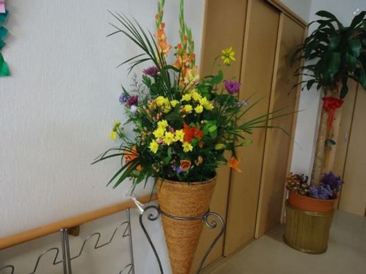 施設内のお花