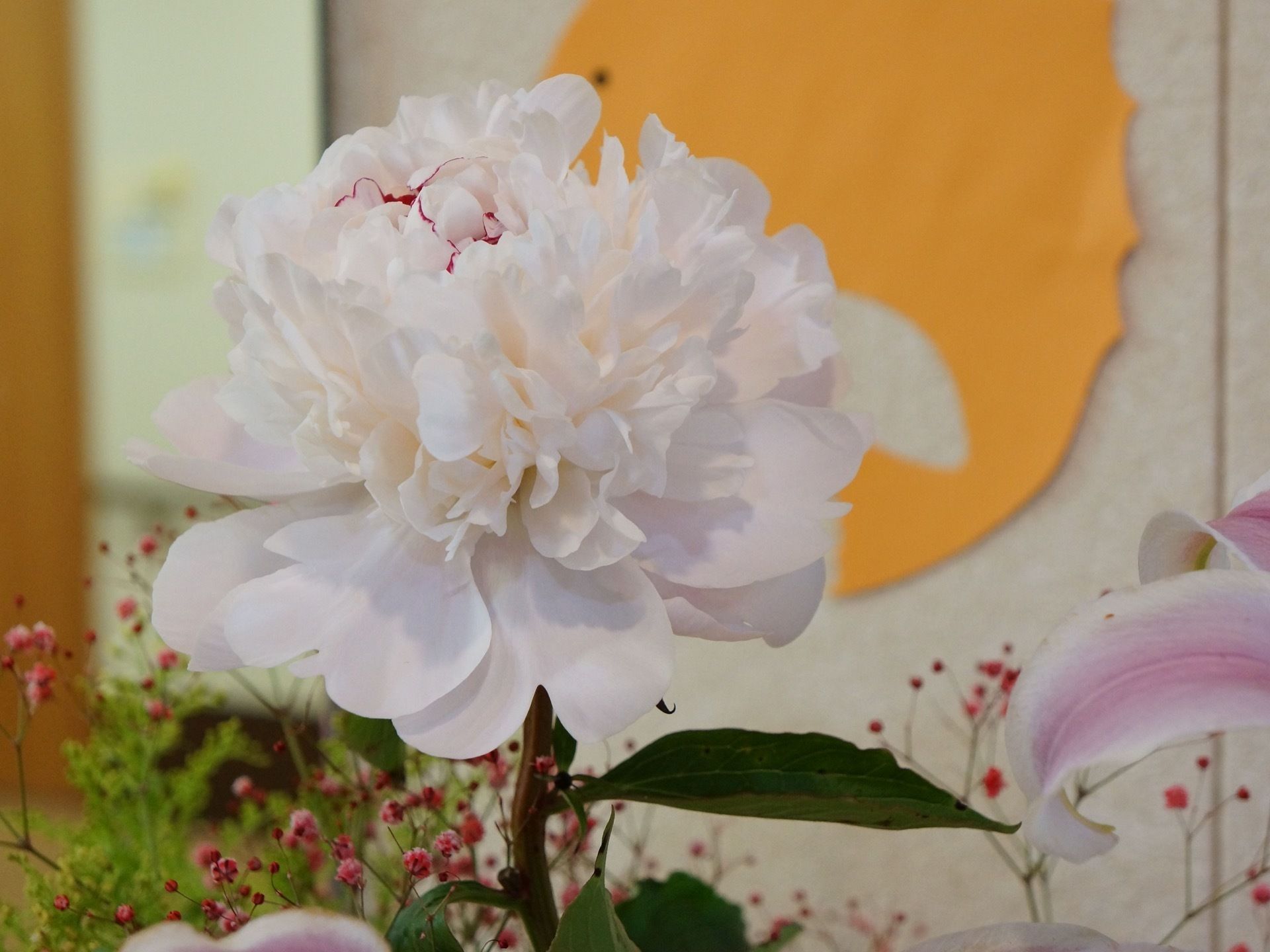 施設の内部にはさまざまな花を飾っている。大きな花が咲いており、施設内が華やかに彩られている。花を見ながらリラックスすることができる。
