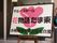 玄関の前には施設名のボードがある。バックにピンク色の花の絵が描かれており、華やかな印象である。大きな文字で読みやすい。