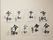 入居者様が新元号を書いた書道作品８枚が壁に貼り出されている。文字の横には入居者様の名前が書かれている。