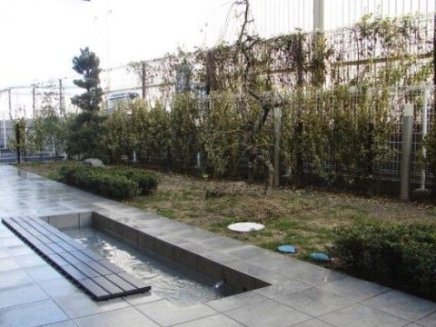 草木を楽しみながら利用できる裏庭スペースにある足湯コーナー