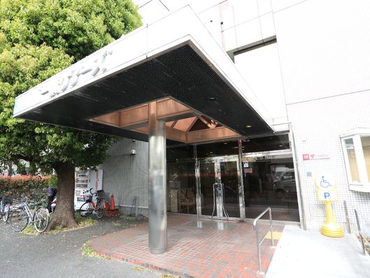 大きな屋根を設置