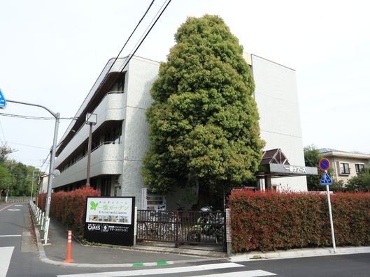 大きな木が目印