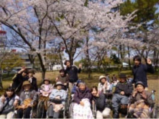 桜の木