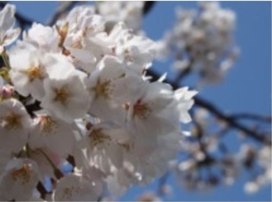 レクリエーション