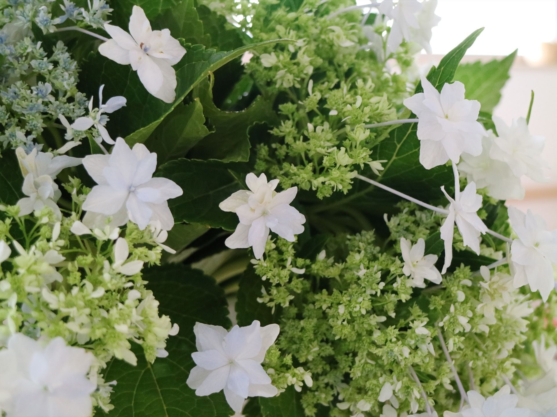 グリーン系を基調の小花や白い花が咲いたデザインの造花が置かれている。さわやかな印象でまとめられている。