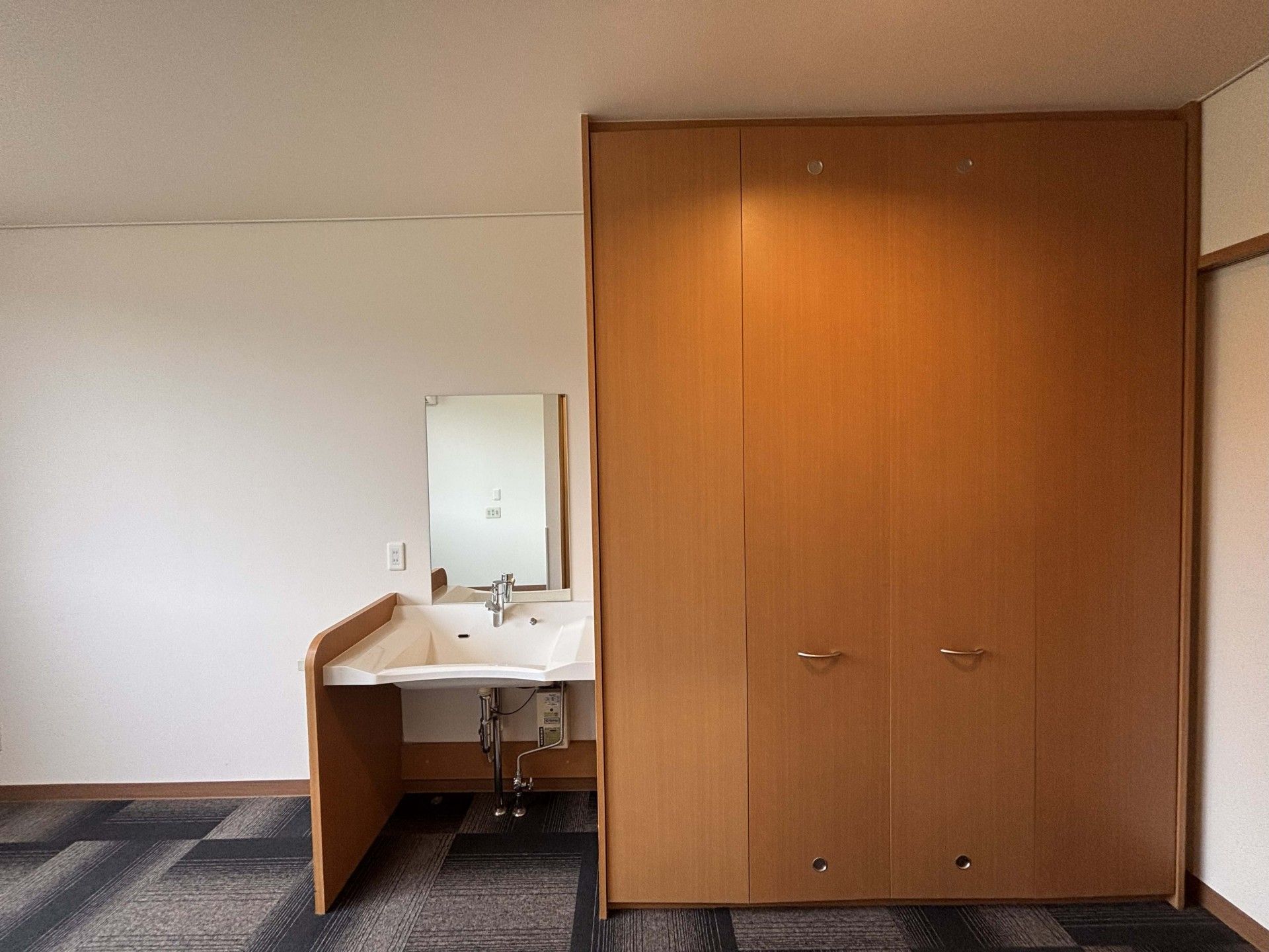 洗面台と収納のある部屋