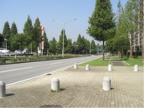施設がある街の風景である。道の両側には広々とした歩道が設置され、木々が植えられている。緑が豊かな環境である。