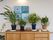 展望台ロビーに置かれた木目調の棚のスペースには、花や観葉植物の鉢植えなどのグリーンや絵画などが飾られている。