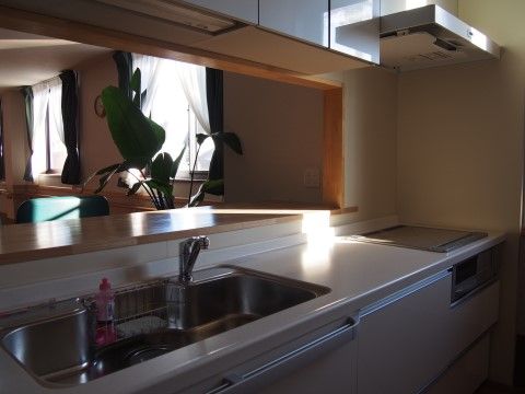 ゲストとの対面キッチンとなっており、観葉植物も配置した安心できる作りとなっている。自然光も十分に取り入れられている。