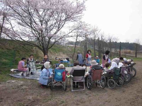 公園にて、車いすや椅子に腰かけ、花見を楽しむ入居者たち