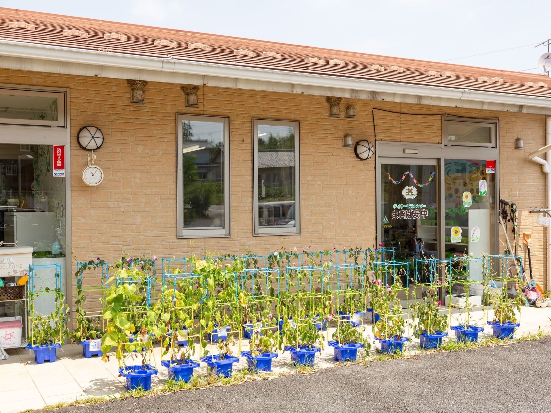 建物には多くの窓があり開放的である。入口の前はタイル張りになっていて、そこには鉢植えの朝顔がいくつも並べられている。