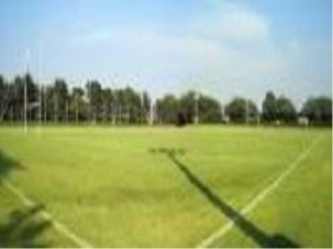 施設には芝生のグラウンドが併設されており、晴天の際には入居者様は自由にスポーツを楽しむことが可能である。