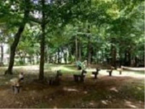 施設の近くには緑の豊かな森林公園があり、晴天のときには入居者様の散歩コースとして利用することが可能である。