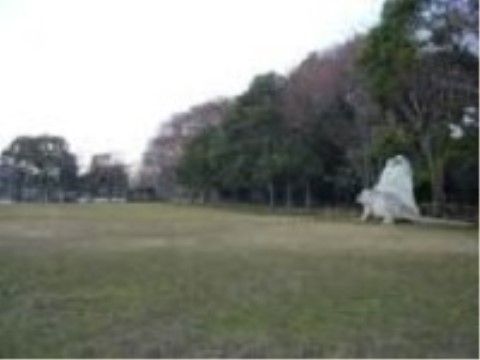 森林公園には広い野原があり、入居者様は気分転換などでベンチに腰を掛けて見晴らしの良い景色を眺めることができる。