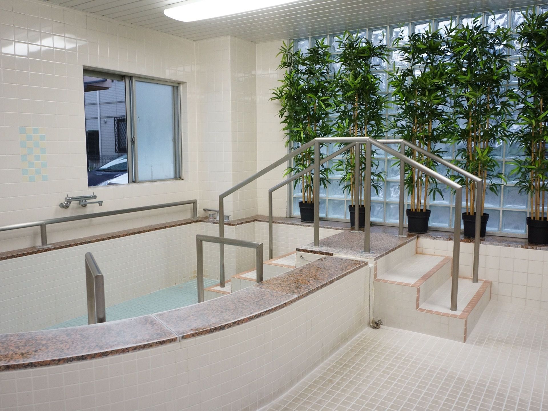 大浴場には広々とした浴槽があり、手すりが取り付けられている。またガラス張りの窓には、観葉植物が置かれている。