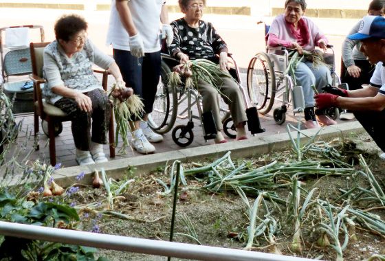 庭での収穫作業