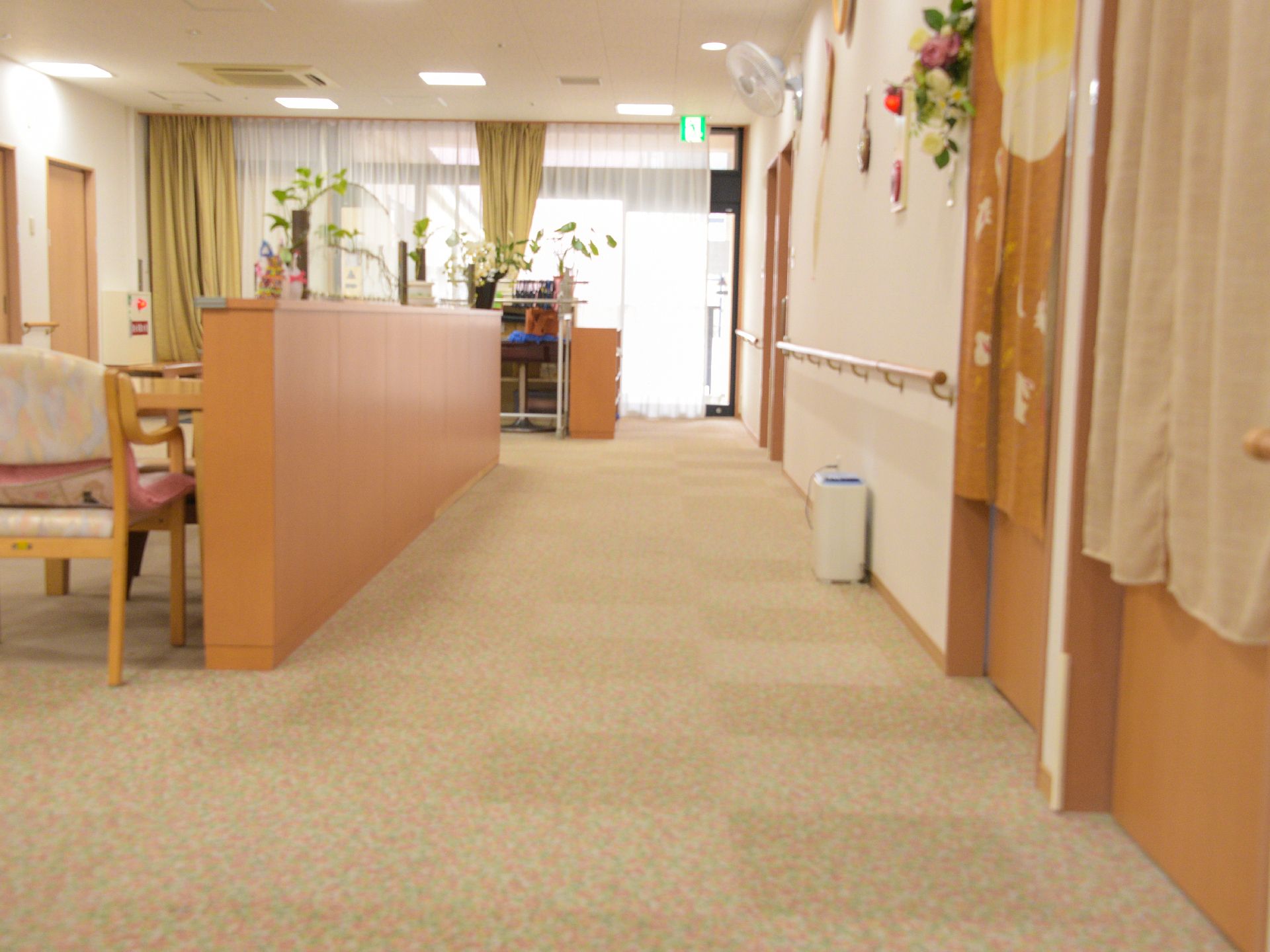壁に手すりがついているので、歩行が困難な人も掴まりながら歩くことができる。自動ドアがあり、レースカーテンが取り付けてある。玄関に靴箱がある。